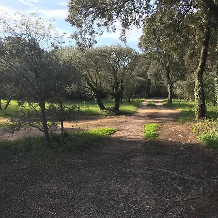 別荘 Havre De Paix Sur 2 Hectares Villevieille