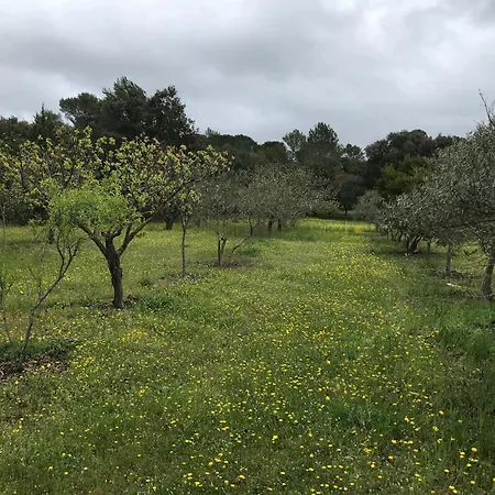 Havre De Paix Sur 2 Hectares 펜션