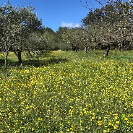 別荘 Havre De Paix Sur 2 Hectares Villevieille