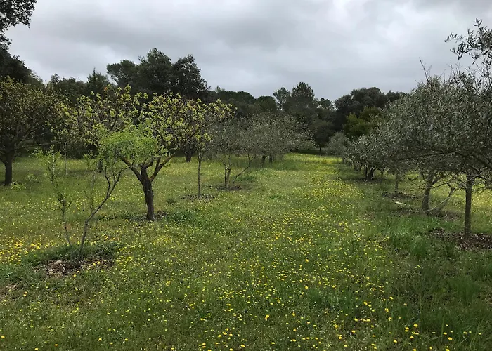 Havre De Paix Sur 2 Hectares Сasa de vacaciones